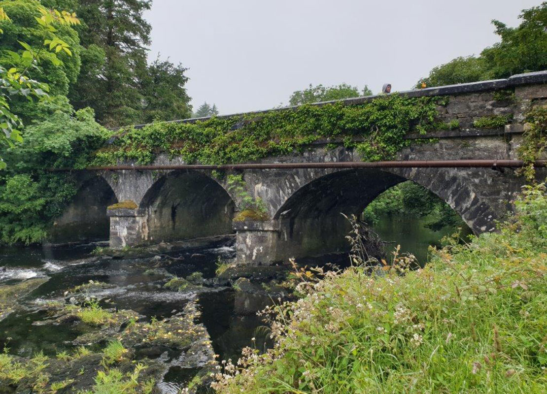 Grid Route Options for Renewable Energy Business