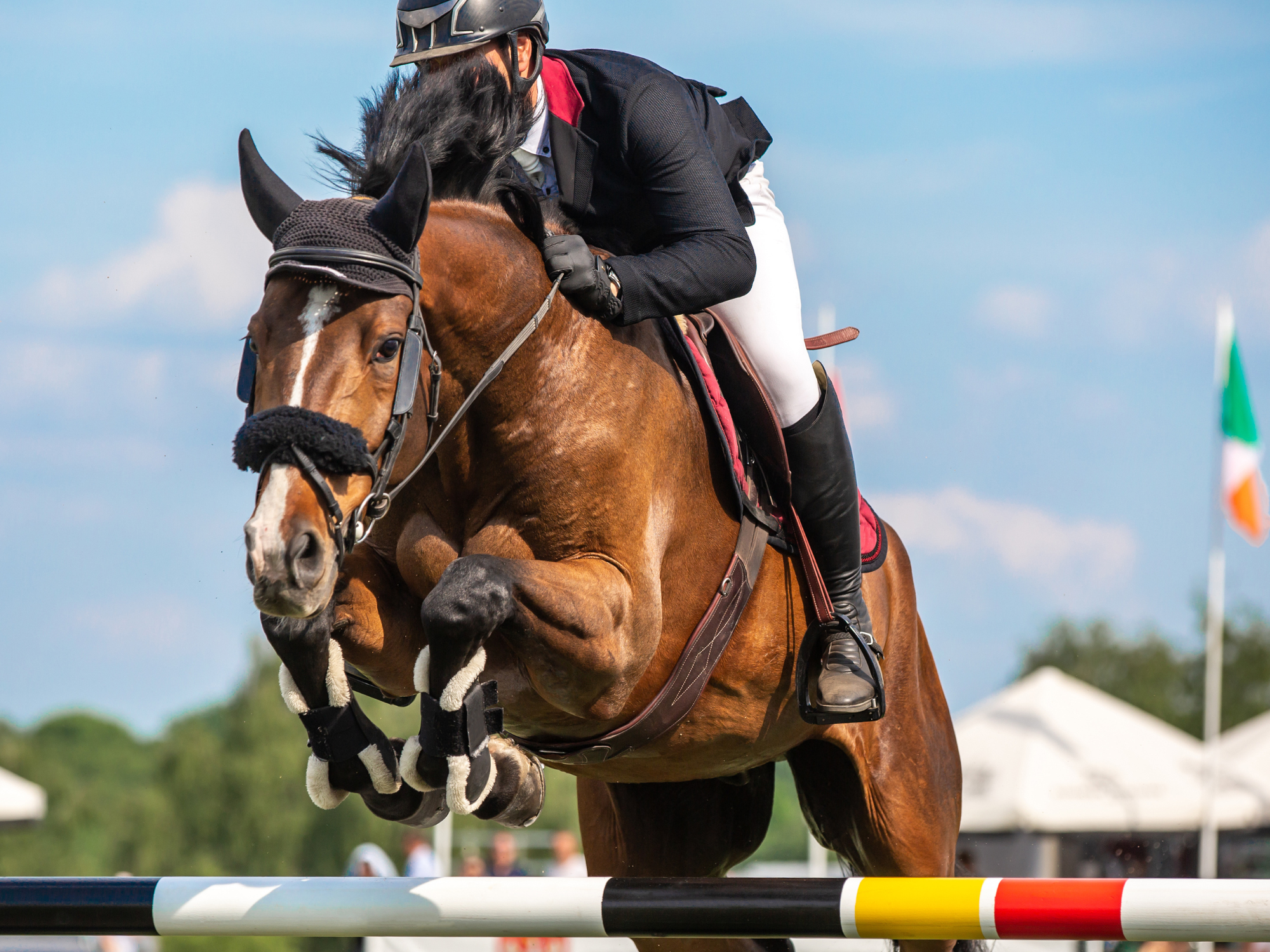 Royal Dublin Society Anglesea Stand Redevelopment